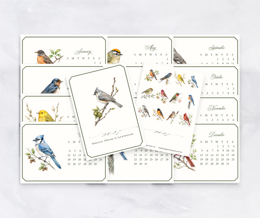 2027 Desk Calendar Refill (No Stand)